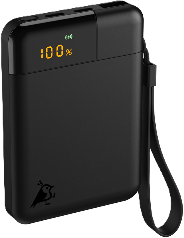 Aqiila Powerbird Powerbank 5000mAh 12W Svart