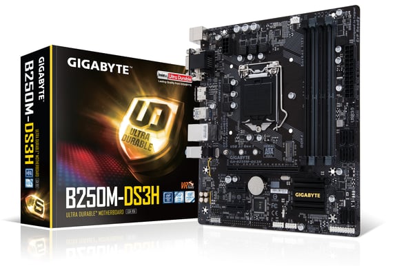 Gigabyte B250M DS3H