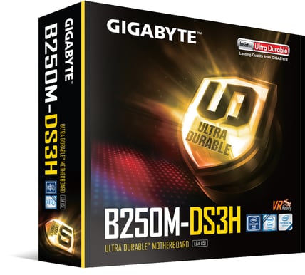 Gigabyte B250M DS3H