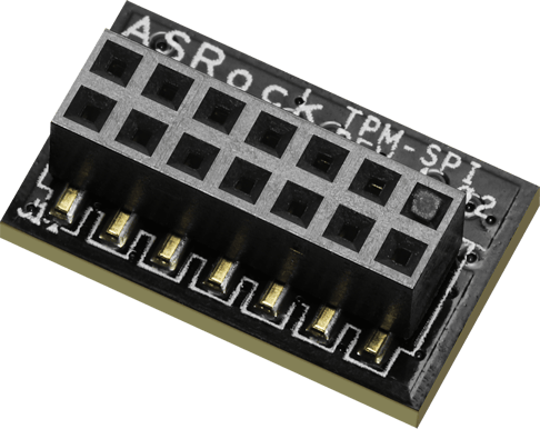 ASRock TPM-SPI