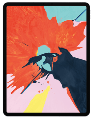 Apple iPad Pro 11'' (2018) 4G 256GB Rymdgrå