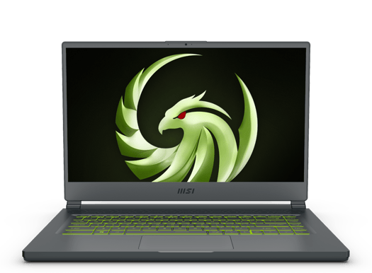MSI Delta 15 A5EFK - 15,6" | Ryzen 7 | 16GB | 1TB | RX 6700M | 240Hz | FHD