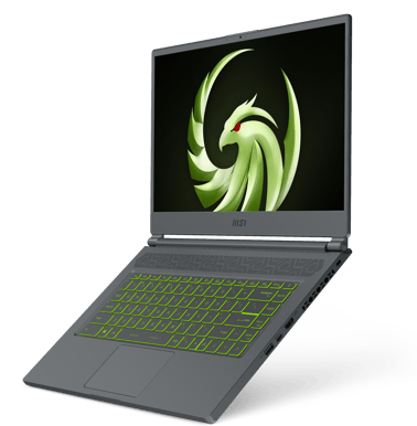 MSI Delta 15 A5EFK - 15,6" | Ryzen 7 | 16GB | 1TB | RX 6700M | 240Hz | FHD