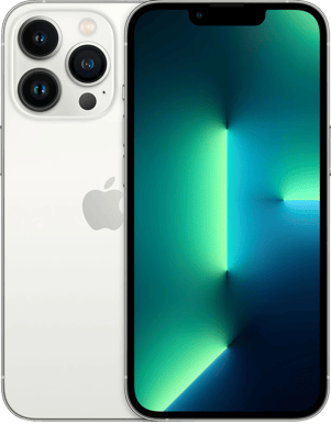 Apple iPhone 13 Pro (1TB) 5G Silver