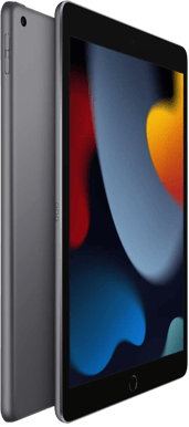 Apple iPad 10,2" (2021) 4G 256GB Rymdgrå