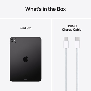 Apple iPad Pro 11'' (2024) 512GB Rymdsvart
