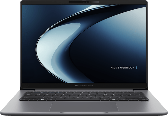 Asus ExpertBook P3 PM3406CKA 32GB