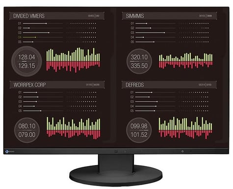 EIZO 24