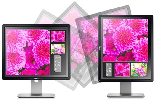 Dell 19" P1914S Svart