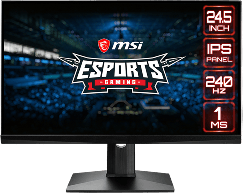 MSI 25" Optix MAG251RX IPS 240 Hz