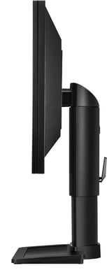 BenQ 24" BL2411PT