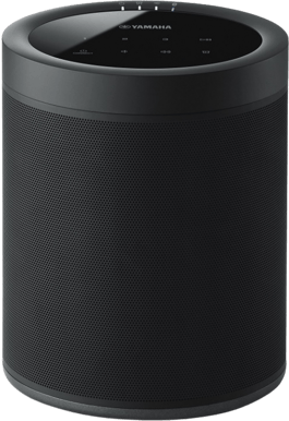 Yamaha MusicCast 20 Svart