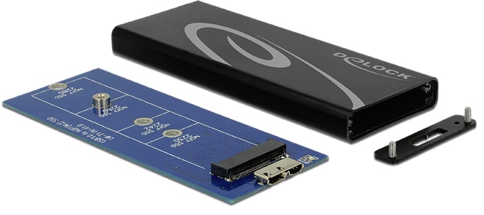 Delock hårddiskkabinett M.2 med USB 3.1