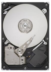 500GB Seagate ST3500413AS