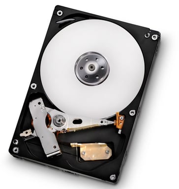 1TB Hitachi Deskstar 7K1000.D
