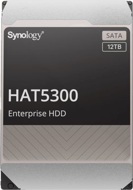 Synology Enterprise 12TB