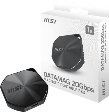 MSI DataMag 20Gbps 1TB