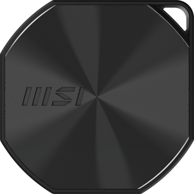 MSI DataMag 20Gbps 2TB