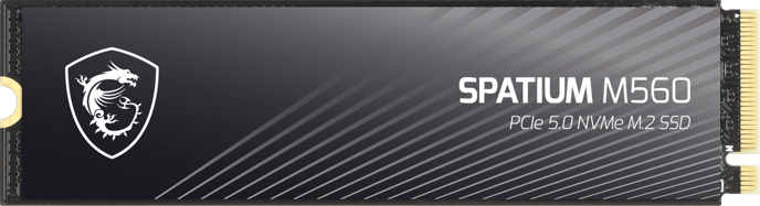 MSI Spatium M560 PCIe 5.0 NVMe 1TB