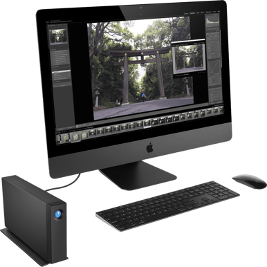 LaCie D2 Professional 16TB