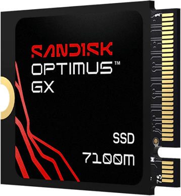 Sandisk Optimus GX 7100M M.2 NVMe SSD 1TB 2230