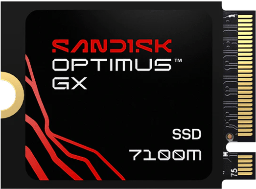 Sandisk Optimus GX 7100M M.2 NVMe SSD 2TB 2230