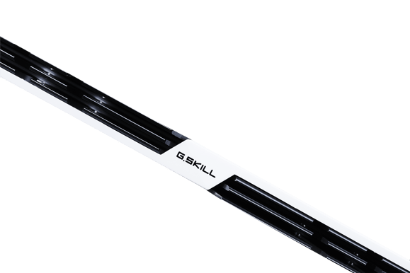 G.Skill 16GB (2x8GB) DDR4 3600MHz CL16 Trident Z Svart/Vit