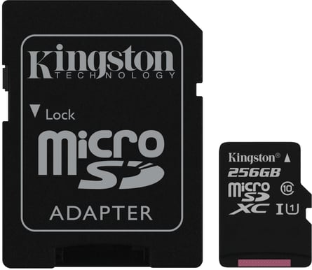 Kingston microSDXC 256GB Canvas Select