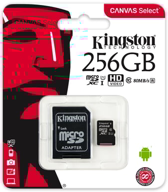 Kingston microSDXC 256GB Canvas Select