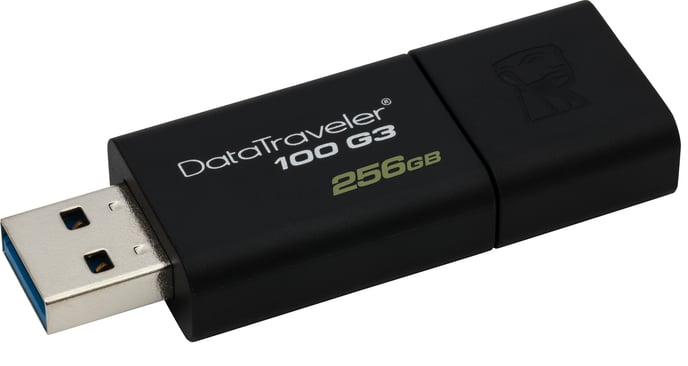 Kingston DataTraveler 100 G3 256GB