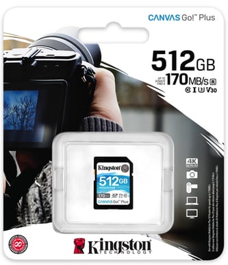 Kingston SD 256GB Canvas Go! Plus