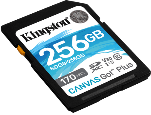 Kingston SD 256GB Canvas Go! Plus