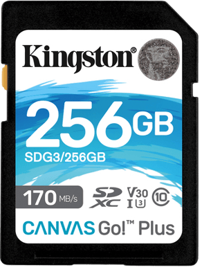 Kingston SD 256GB Canvas Go! Plus