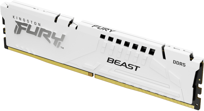 Kingston 16GB (1x16GB) DDR5 6000MHz CL36 FURY Beast Vit AMD EXPO/Intel XMP 3.0