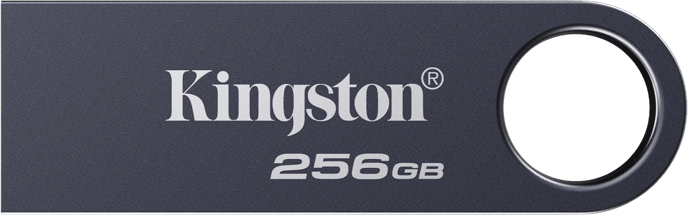 Kingston DataTraveler SE 9 G3 Mörk Nickel 256GB