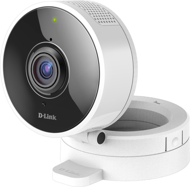 D-Link DCS-8100LH