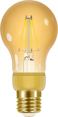 Smartline Flow A60 Filament Dimbar E27