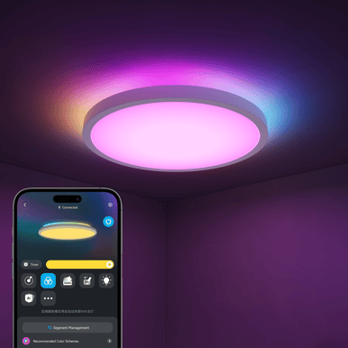 Govee Ceiling Light 300mm