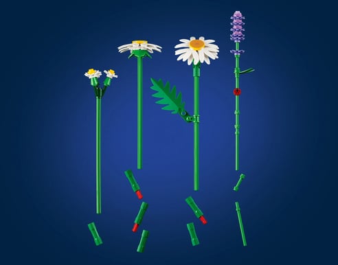 LEGO Botanical Collection Prästkragar 11508