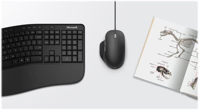 Microsoft Ergonomic Mouse