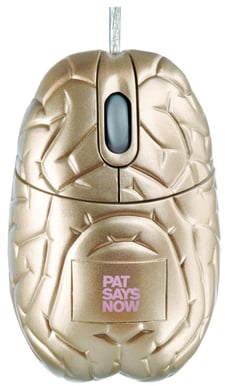 Pat Says Now Brain Gold Limited