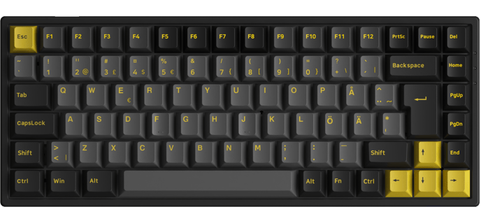 Akkogear: 3084B Black/Gold - Akko CS Jelly Purple