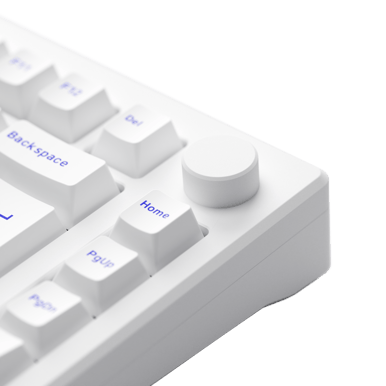 Akkogear MOD007 PC V2 White&Blue CS Piano Switch