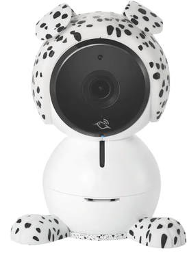 Arlo Fodral, Valp