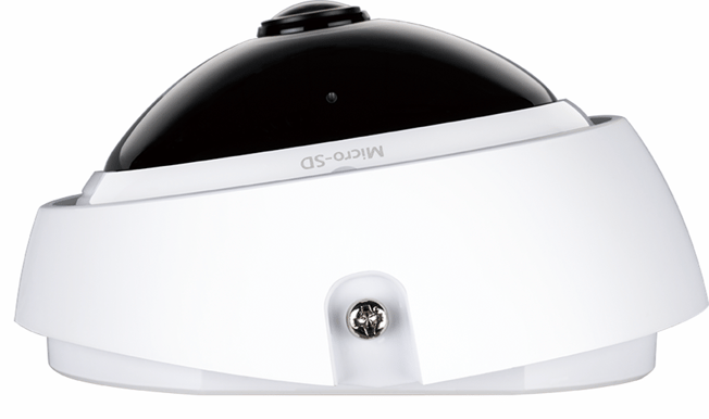 D-Link Vigilance DCS-4622, 360 Fisheye