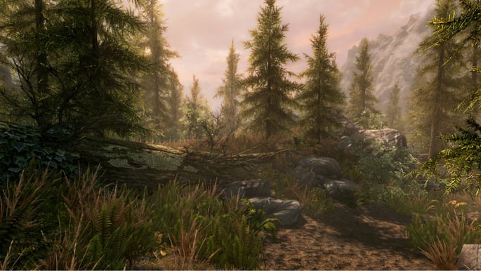 The Elder Scrolls V: Skyrim (Special Edition) - PS4