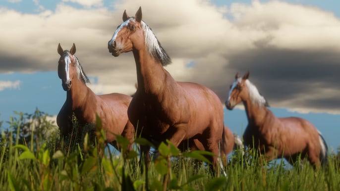 Red Dead Redemption 2 - PS4