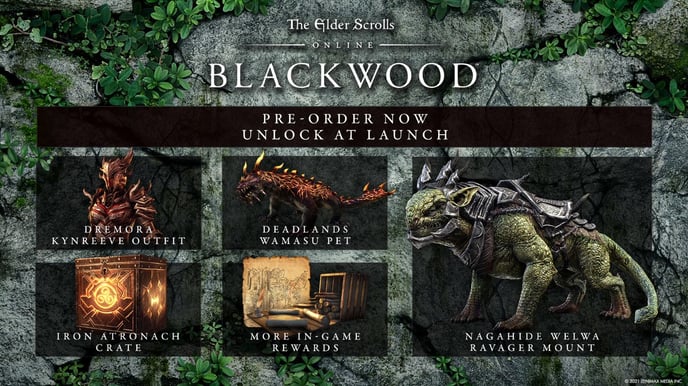 The Elder Scrolls Online Collection: Blackwood-Xbox One/Series X