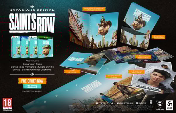 Saints Row Notorious Edition - PC