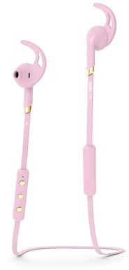 Sudio Tre Rosa